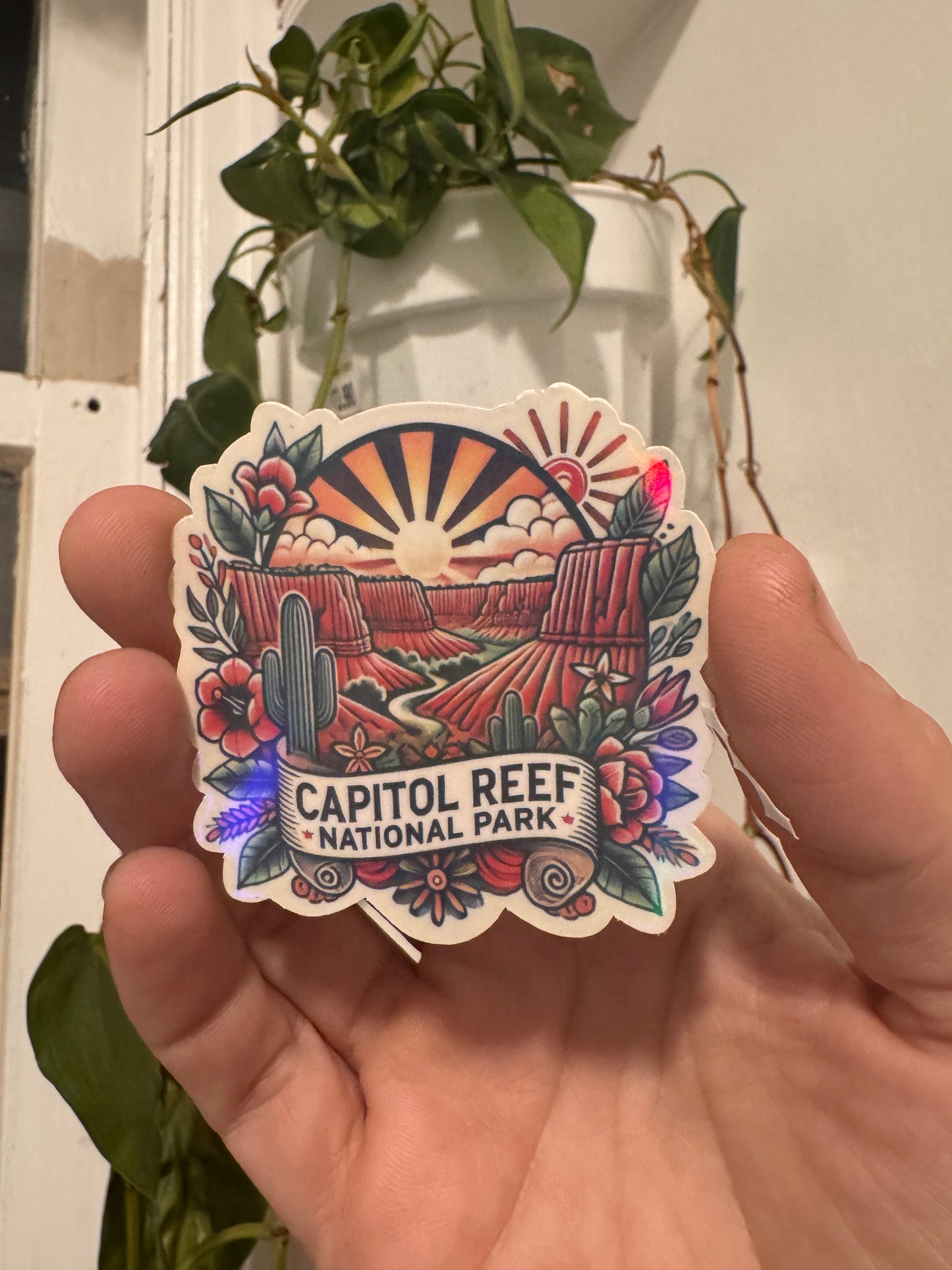 Captiol Reef Sticker