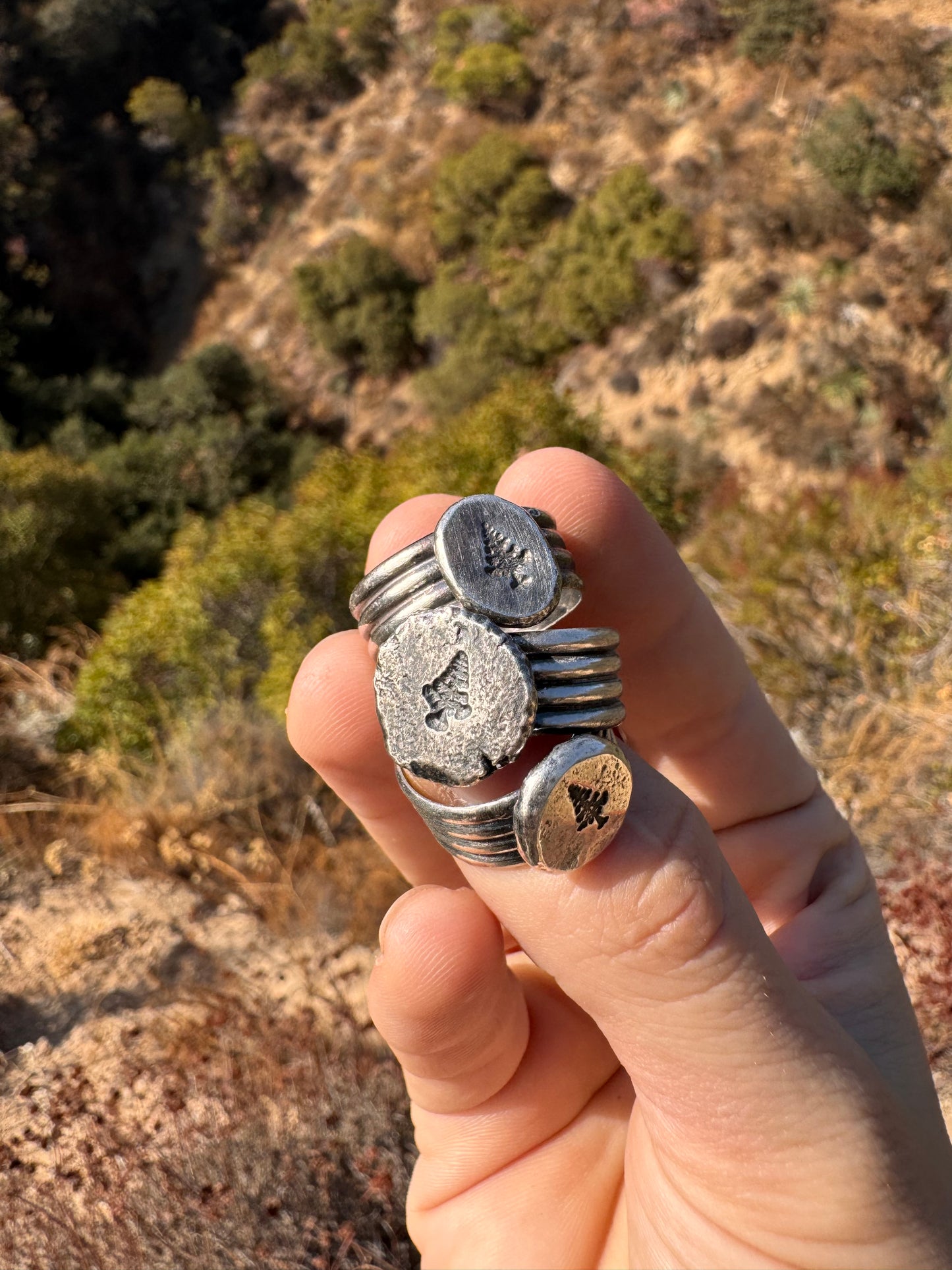 .Tree Ring/Bandana Ring